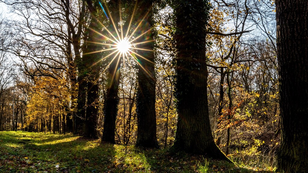 Waarom Herfstvakantie 2024 Zo Laat
