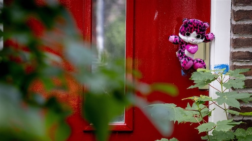 Pleegmeisje Vlaardingen maakt 'letterlijk en figuurlijk kleine stapjes'