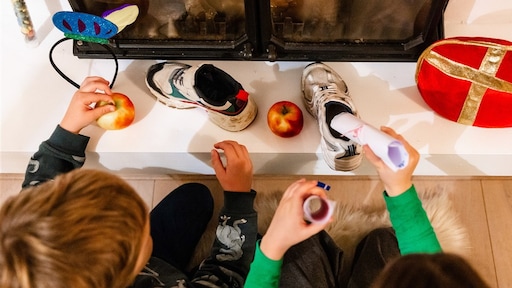 Dorine: 'Hoe voorkom ik dat mijn oudste het sinterklaasfeest voor zijn broertje verpest?'