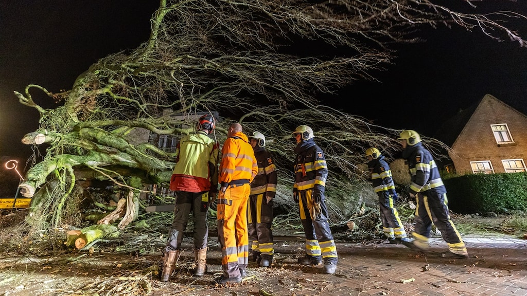 Storm Conall heeft voor 40 miljoen aan schade aangericht, schatten verzekeraars