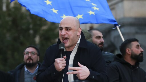 Opnieuw oppositieleider opgepakt in Georgië, 'bewusteloos' afgevoerd door agenten