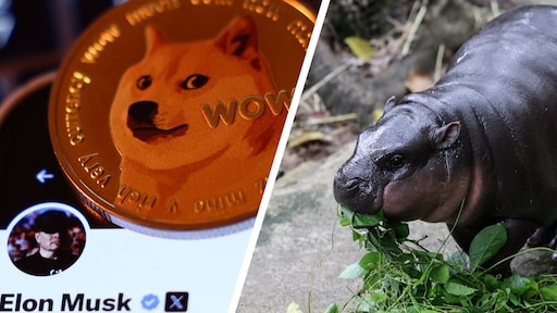 Koersen memecoins skyhigh in kielzog bitcoin: 'Blijft spielerei'