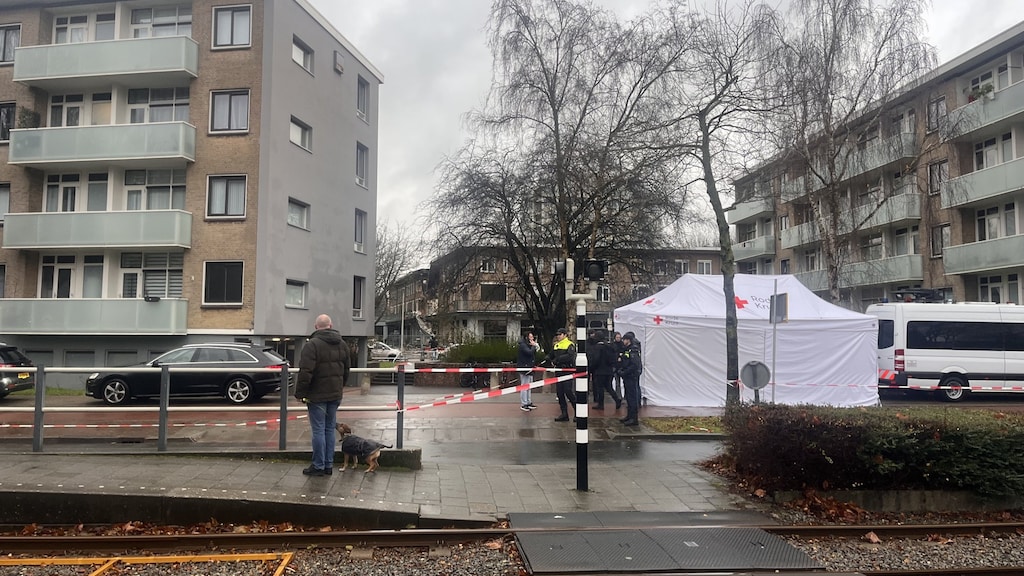 Op zondagochtend kijkt een man met een hond naar de rampplek.