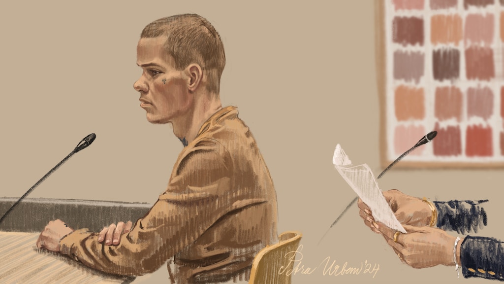 Slachtoffers gijzeling Ede stonden doodsangsten uit, 1 jaar cel en tbs geëist tegen verdachte