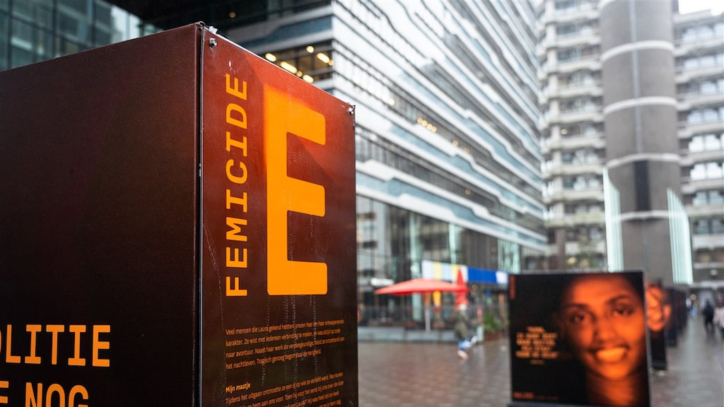 Kamer regelt 10 miljoen euro extra voor bestrijding femicide
