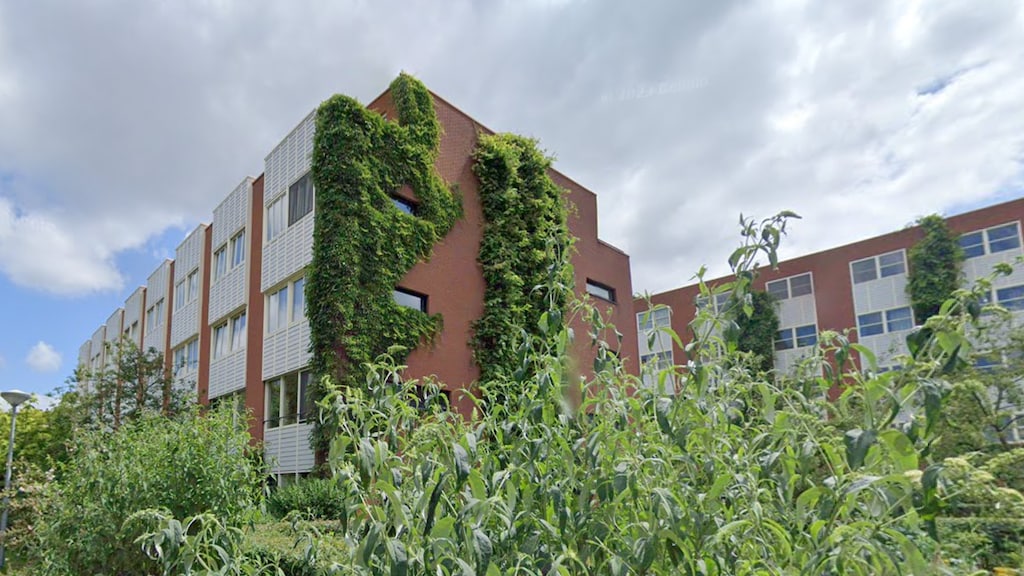 Anne en Sebastiaan keerden terug in een groen stukje Amsterdam.