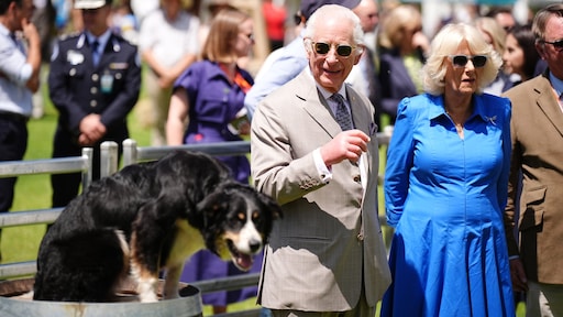 Charles en Camilla 'van plan om nieuw hondje te adopteren'