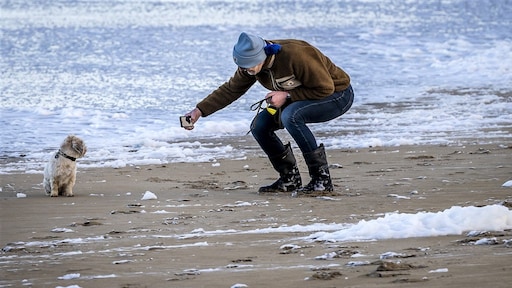 Winderige woensdag met uitzonderlijk zachte temperaturen voor december