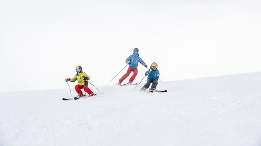 Wintersporters opgelet: op deze plaatsen ligt de meeste sneeuw