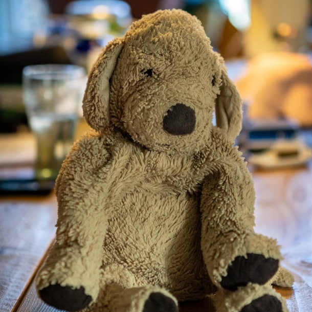 "De knuffel van Lauren hebben we bewaard."