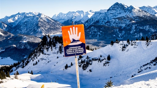 Vader en zoon komen om door lawine in Oostenrijk