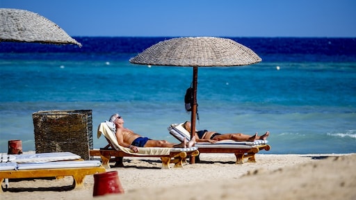 Toerist gedood door haai in Egypte, zwemverbod bij Marsa Alam