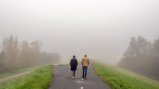 2024 eindigt met somber weer: wind op oudjaarsdag
