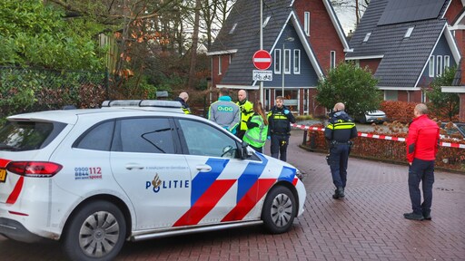 Vrouw (76) doodgestoken in Den Dolder, dader voortvluchtig