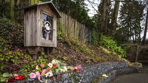 'Dit opent oude wonden', zegt burgemeester na dodelijke steekpartij Den Dolder