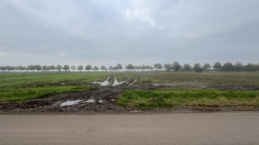 Drimmelse opvang Oekraïners ging ten koste van arbeidsmigranten