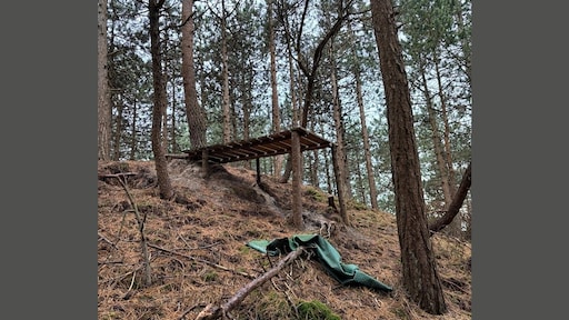 Illegale mountainbikeroutes ontdekt in Schoorlse Duinen, Natura 2000-gebied deels 'vernield'