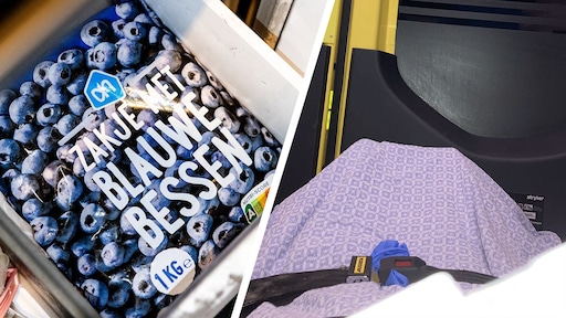 Martina doodziek na eten blauwe bessen AH: 'Alsof het leven uit me gezogen is'