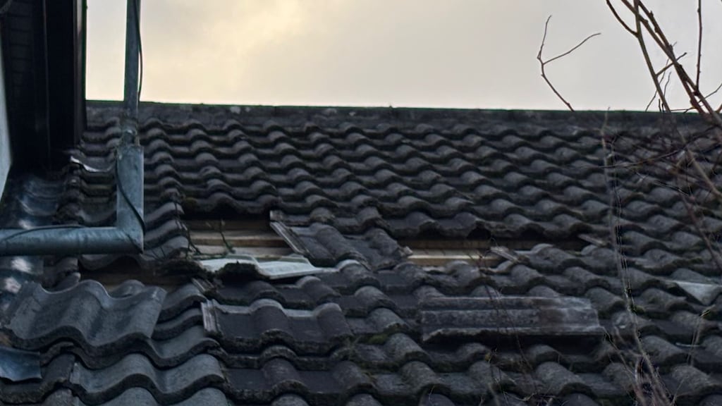 Er is schade op verschillende plekken op het dak.