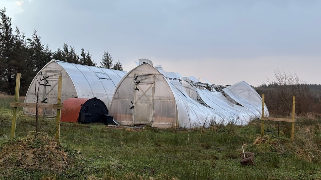 De polytunnel is zwaarbeschadigd geraakt.