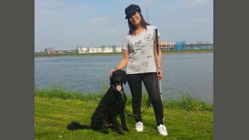 De dood van hulphond Darco zette honden- en vuurwerkliefhebbers weer tegenover elkaar