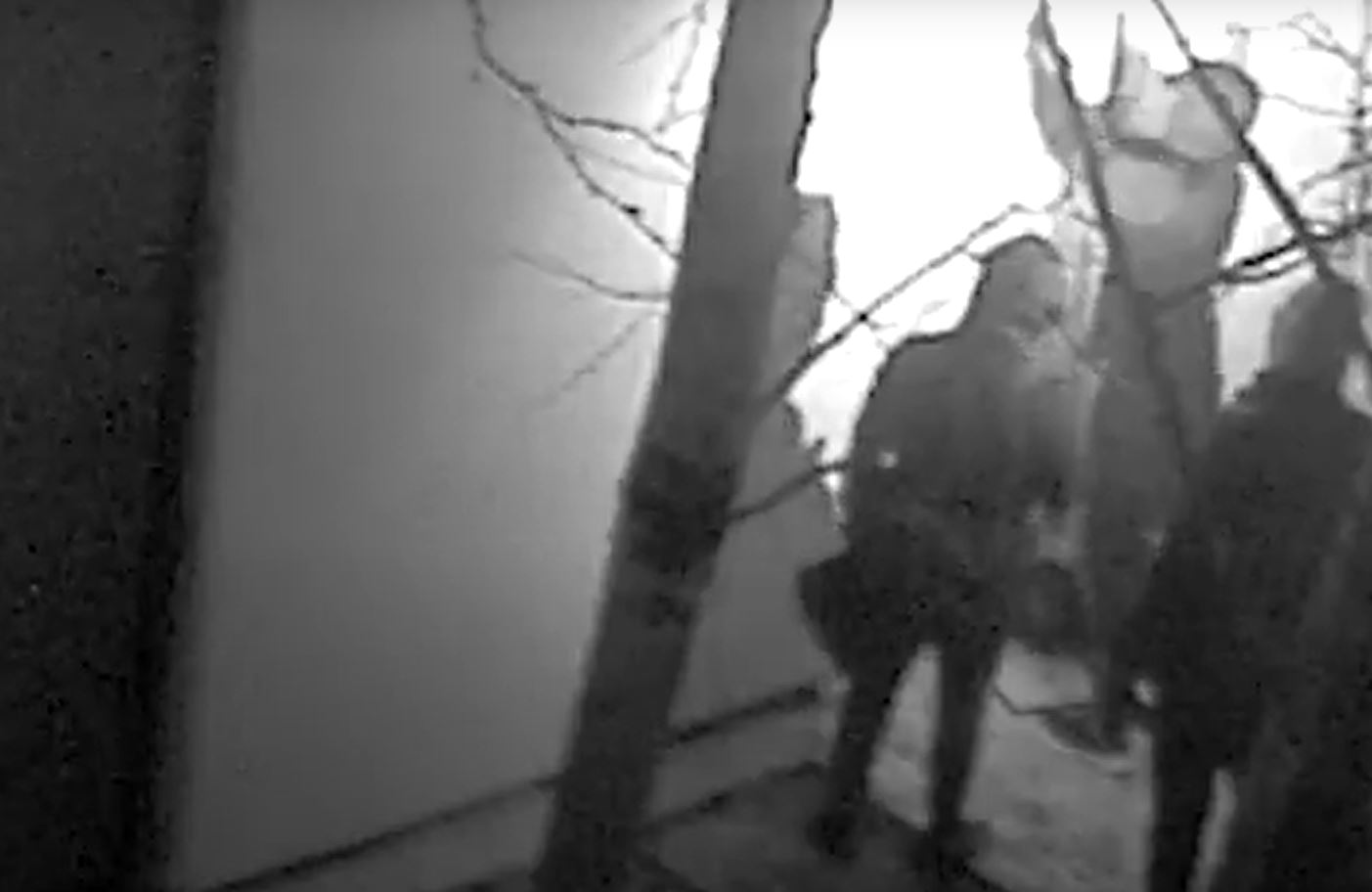 Vijfde verdachte aangehouden voor kunstroof Drents Museum