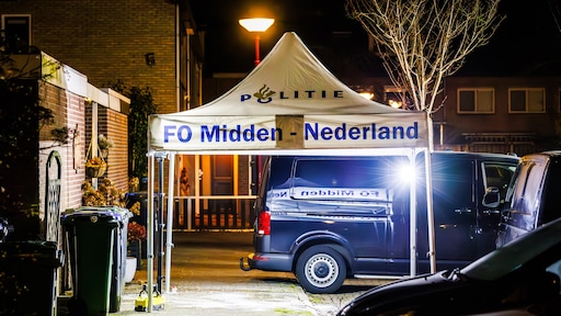 'Zeer reëel' dat verdachte het doodgestoken meisje (11) niet kende