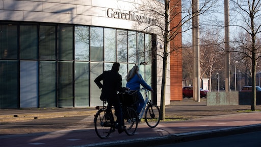 Vier jaar cel geëist voor man die buurvrouw wilde laten verkrachten