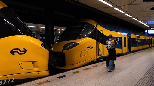 Nieuwe NS-trein 'de wesp' zoemt vaker over het spoor, maar problemen zijn nog niet weg