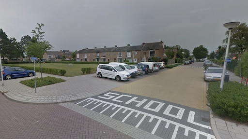 25-jarige man aangehouden voor zedenzaak in Oud-Beijerland