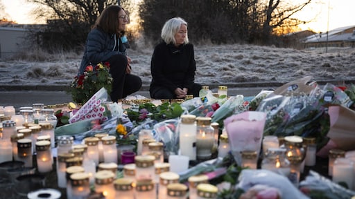 Schutter Zweden 'was werkloze einzelgänger met psychische problemen'