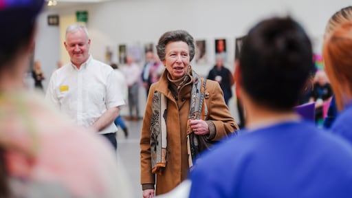 Prinses Anne bedankt ziekenhuismedewerkers na hersenschudding