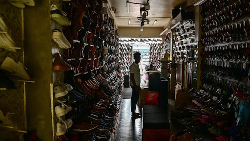 Aap veroorzaakt landelijke stroomstoring in Sri Lanka