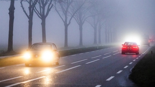 Sneeuw! Vannacht bijna overal code geel om gladheid