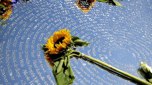 Raad van State: kabinet mag info over aanloop ramp MH17 geheimhouden