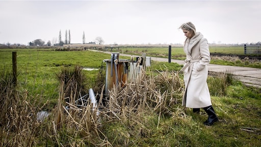 Kabinet denkt aan 'noodwet' om uit stikstofimpasse te komen
