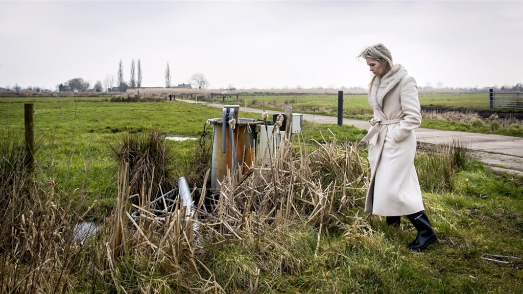 Kabinet denkt aan 'noodwet' om uit stikstofimpasse te komen