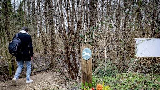 Verdachte steekpartij Schiedam nog maar 13 jaar: hoe gaat dat nu verder?