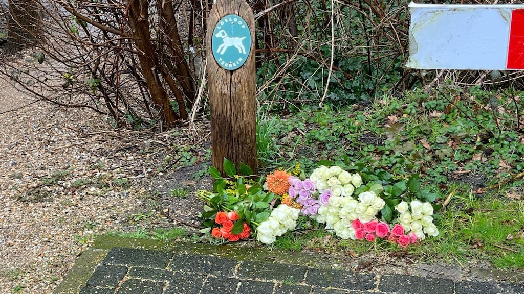 Buurt aangeslagen na doodsteken 13-jarige door leeftijdgenoot: 'Zo jong'
