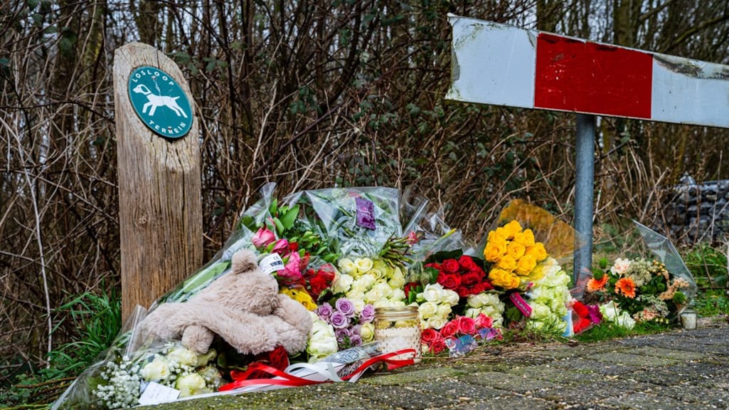 'Joni (13) doodgestoken na ruzie over mislukte straatroof'