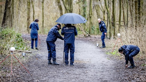 Waarom verdachte van doodsteken Joni (13) maximaal een jaar cel kan krijgen