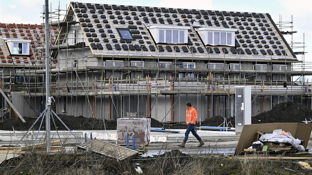 Minstens 10.000 projecten getroffen door stikstofuitspraak Raad van State