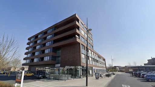 Kattenkwaad loopt uit de hand in Hoogeveen: noodbevel na belletje trekken