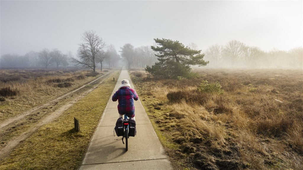 Gelderland wil strengere stikstofeisen in zones rondom natuurgebieden