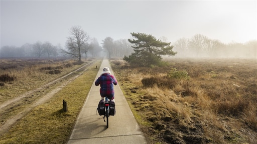 Gelderland wil strengere stikstofeisen in zones rondom natuurgebieden