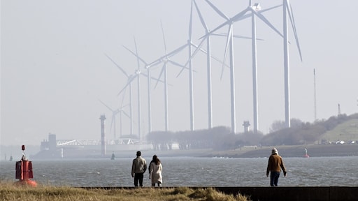 Helft van in Nederland geproduceerde stroom was vorig jaar groen