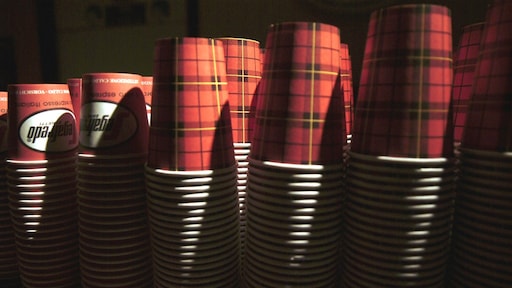 Kamer wil koffiebekertjes met plastic laagje op werk en sportkantine tóch toestaan