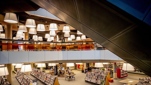 Bibliotheek vanaf 1 mei gratis voor alle Rotterdammers