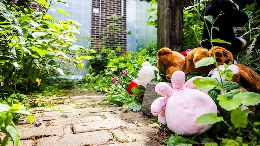 Kamer: pleegouders die in de fout gaan, mogen nooit meer kind opvangen