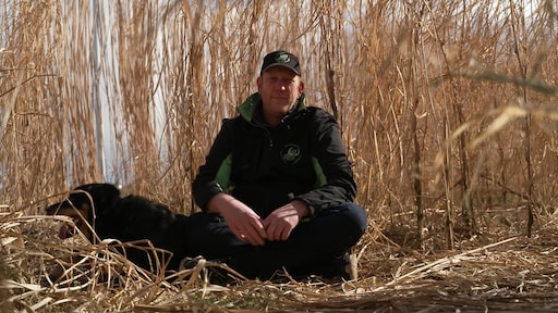 Dit metershoge gras kan een oplossing zijn voor het stikstof- en CO2-probleem